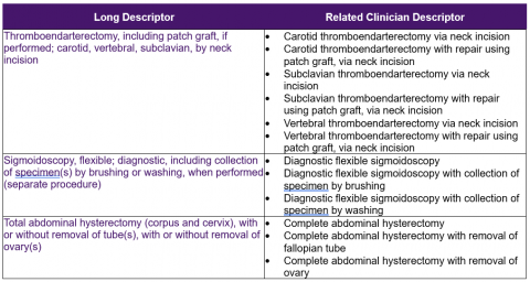 Component 5- Image 4