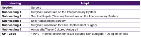 Component 6- Image 5