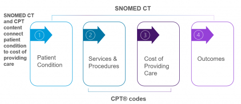 Snomed visibility